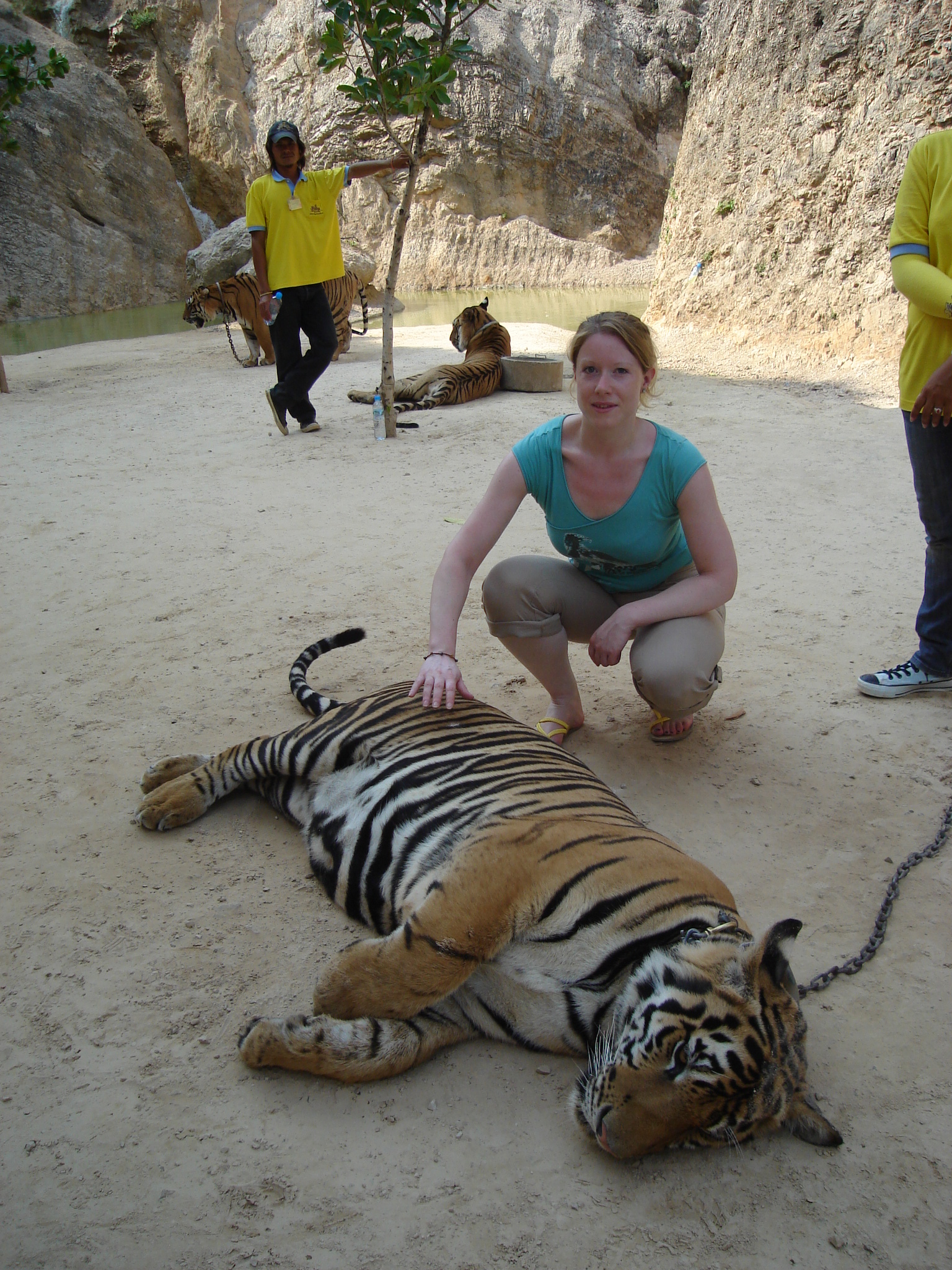 Fleur with Tiger